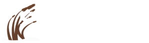 New-Logo1-white
